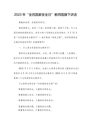2023年“全民国家安全日”教师国旗下讲话.docx