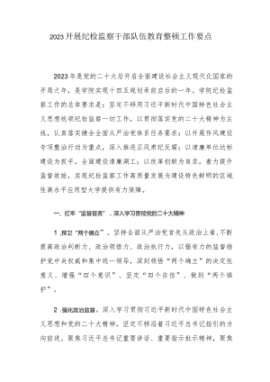 2023开展纪检监察干部队伍教育整顿工作要点.docx