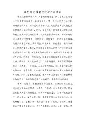 2023警示教育片观看心得体会.docx