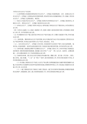 专职安全员安全生产责任制工程文档范本.docx