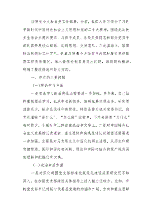 2023年第二批主题教育专题民主生活会个人对照检查材料.docx