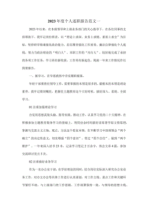 2023年度个人述职报告范文一.docx