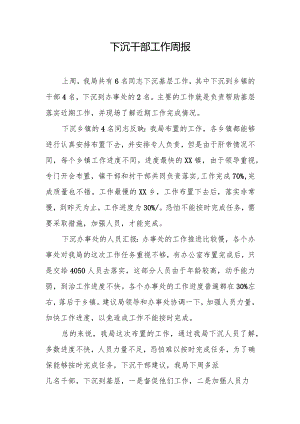 下沉干部工作周报.docx