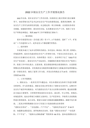 2022乡镇安全生产工作开展情况报告.docx