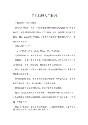 《摄影教学技巧》手机拍照入门技巧.docx