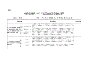 2022年度民主生活会整改清单.docx