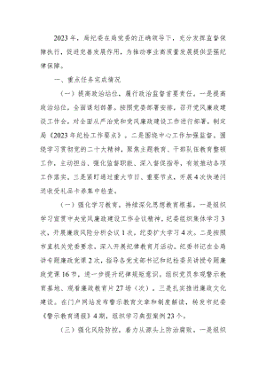 2023年度纪委工作总结.docx