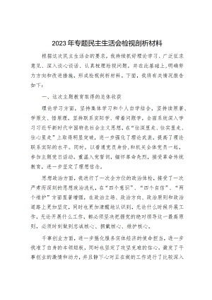 2023年主题教育专题民主生活会党员干部个人对照检查材料（精选两篇合辑）.docx