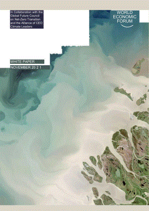 世界经济论坛-净零到净负：领导者碳去除指南（英）-2021.11-18正式版.docx
