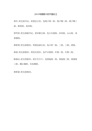 2019年那务六村干部分工.docx