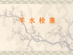 羊水栓塞.ppt
