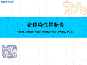 传染性胃肠炎.ppt