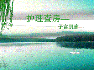 护理查房—子宫肌瘤.ppt