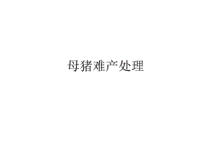 母猪难产处理.ppt