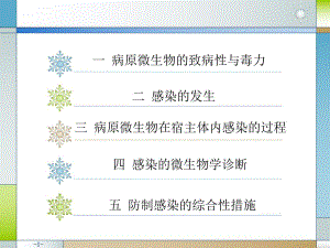 畜牧微生物学 第十三章 病原微生物与感染【PPT】 .ppt