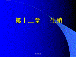 生理学生殖.ppt