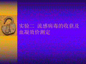 【病毒学实验】第三次课3.4流感病毒的收获及血凝效价测定.ppt