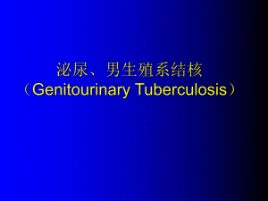 泌尿、男生殖系结核.ppt