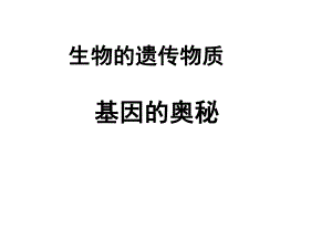 吴培培基因.ppt
