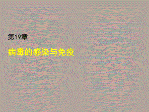 病毒的感染与免疫.ppt