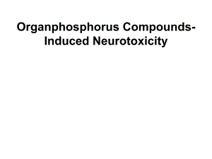 Organophosphorus EsterInduced Chronic …：有机磷酯诱导的慢性… .ppt