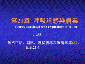 呼吸道感染病毒教学PPT.ppt
