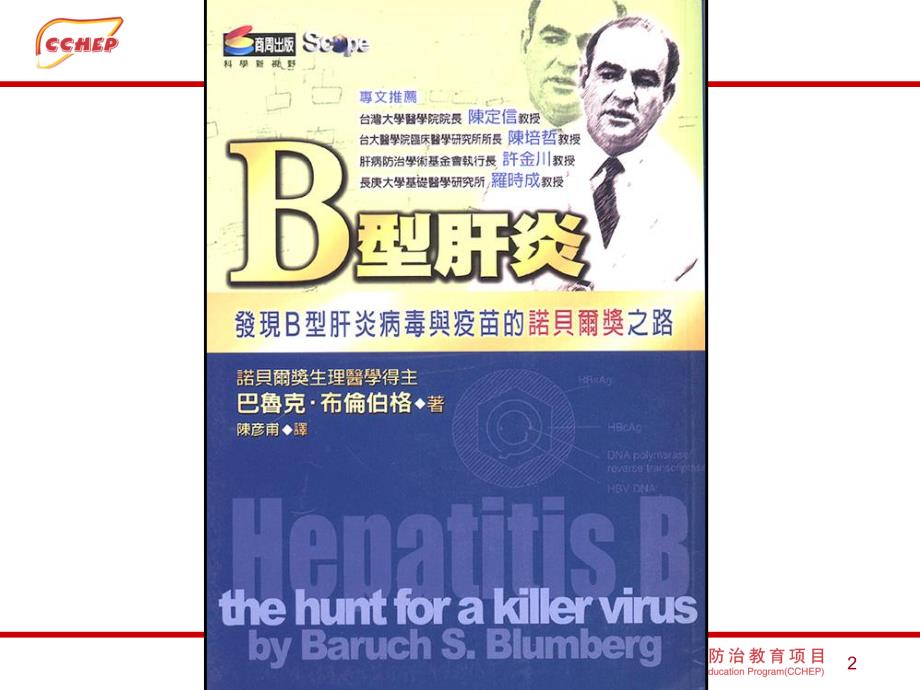 慢性乙型肝炎的诊断.ppt_第2页