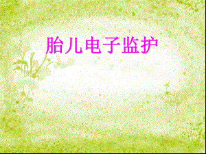 胎儿电子监护.ppt