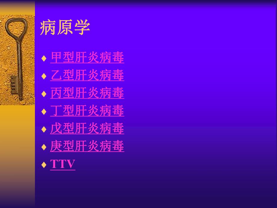 病毒性肝炎2.ppt_第3页