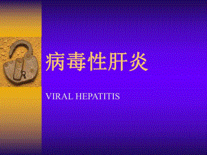 病毒性肝炎2.ppt