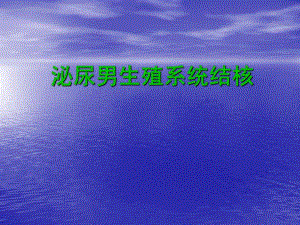 泌尿男生殖系统结核.ppt