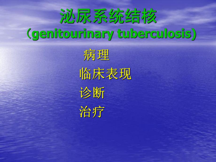 泌尿男生殖系统结核.ppt_第3页