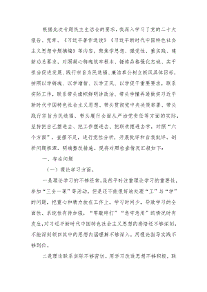 第二批教育专题生活会检查材料.docx