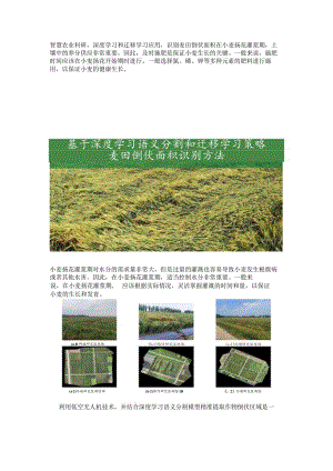 深度学习和迁移学习应用识别麦田倒伏面积.docx