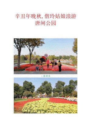 辛丑年晚秋,偕玲姑娘浪游唐闸公园.docx
