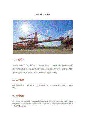 码头斗轮机电子皮带秤.docx