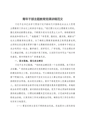 青年干部主题教育党课讲稿第二批可用.docx