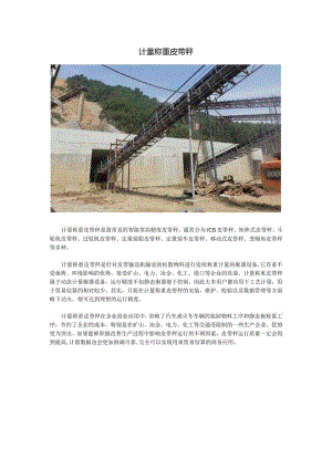 计量称重皮带秤.docx