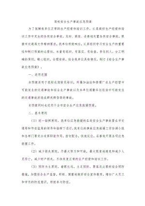 驾校安全生产事故应急预案.docx