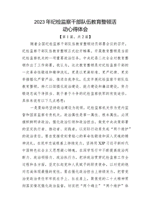 纪检监察干部队伍教育整顿心得体会-共2篇.docx