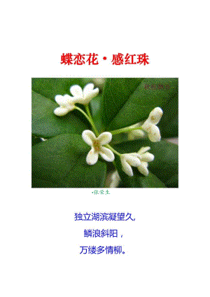 爱情诗词精选38-36.蝶恋花-感红珠.docx