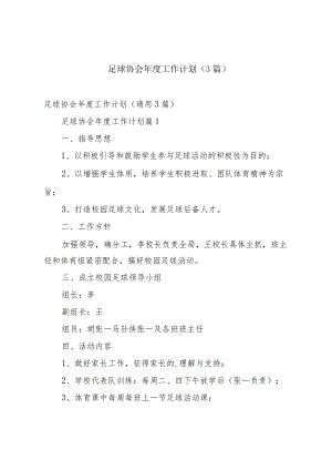 足球协会年度工作计划（3篇）.docx