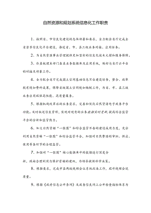 自然资源和规划系统信息化工作职责.docx