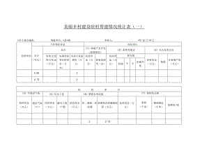 美丽乡村建设驻村帮建情况统计表.docx