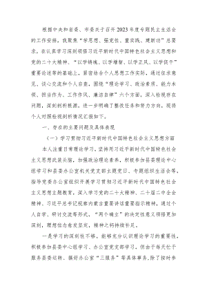 第二批主题教育专题民主生活会个人检视剖析材料.docx