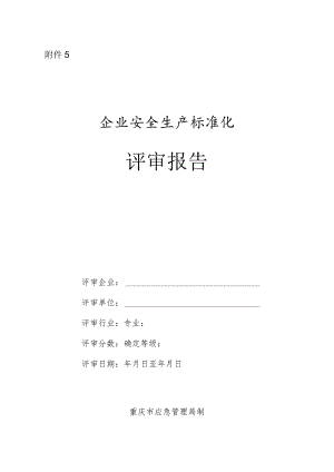 附件5.评审报告.docx