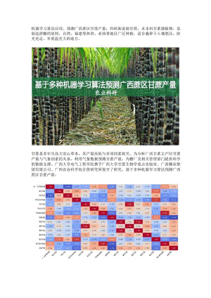 预测广西蔗区甘蔗产量科研.docx