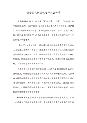 联合国气候变化迪拜大会开幕.docx