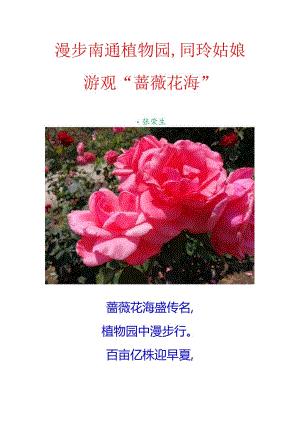 漫步南通植物园同玲姑娘游观“蔷薇花海”.docx