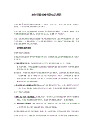皮带秤皮带跑偏的两种原因.docx